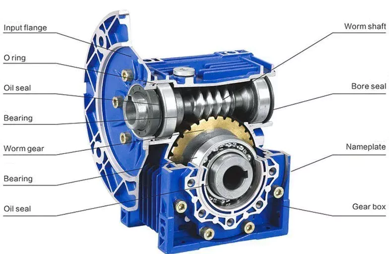 Worm gearbox internal structure exploded view showing worm shaft, bronze wheel, bearings and seals